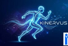 Kinervus
