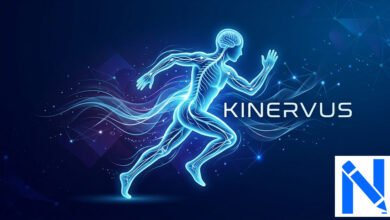 Kinervus