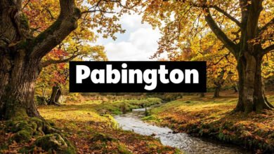 Pabington